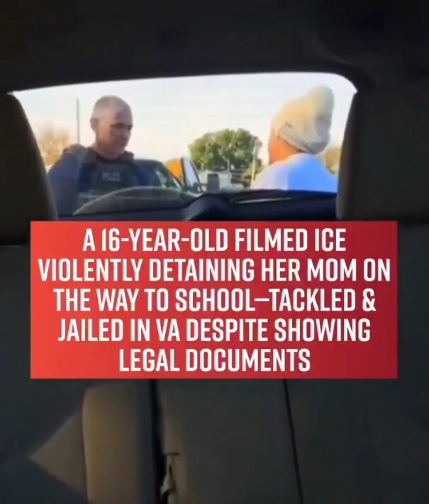 ICE agents violently detained a Virginia mother